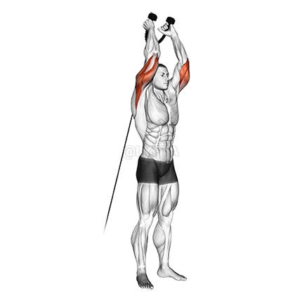 Cable Overhead Triceps Extension demonstration