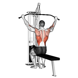 Cable Pulldown demonstration