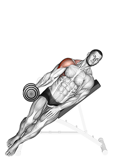 Dumbbell Incline One Arm Lateral Raise demonstration