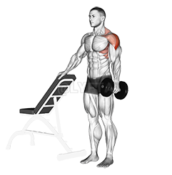 Dumbbell One Arm Lateral Raise with support demonstration