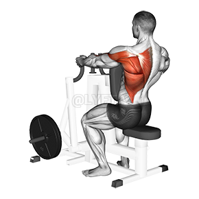 Lever Alternating Narrow Grip Seated Row - Video Guide
