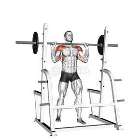 Chest lift: barbell system positioned according to Anatoly