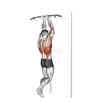 Seated Pull-up between Chairs - Video Guide