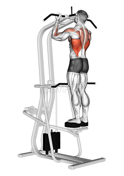 Assisted Standing Chin-Up demonstration
