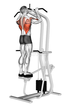 Assisted Standing Pull-up demonstration