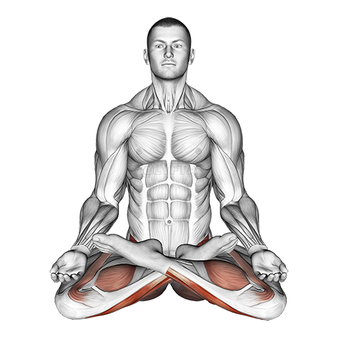 Full Lotus Yoga Pose demonstration
