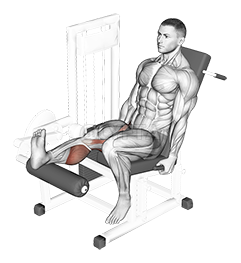 Lever Seated One Leg Curl demonstration