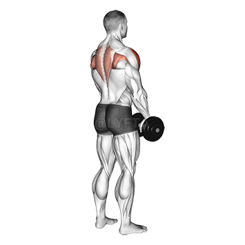 Dumbbell Standing Around World - Video Guide