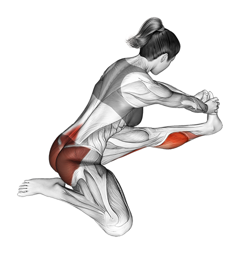 Seated Hip Stretch With Opposite Leg From Behind demonstration