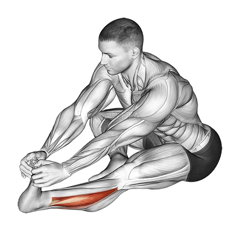 მჯდომარე Toe Pull Calf Stretch demonstration