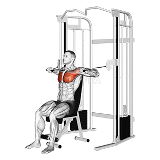 Cable Seated Chest Press - Video Guide