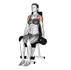 Dumbbell Seated Lateral Raise demonstration