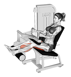 Lever Seated Leg Curl demonstration