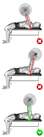 Chest Bench Press - Arms demonstration