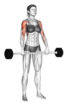 Barbell Upright Row - Muscle & Fitness