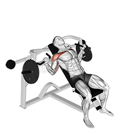 Lever Lying Chest Press - Video Guide