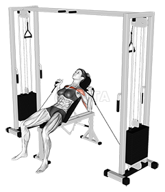 Cable Incline Bench Press demonstration