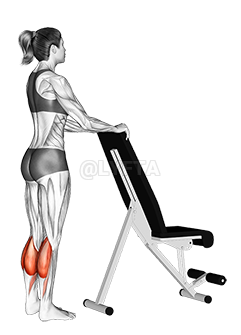Standing Calf Raise with Support demonstration