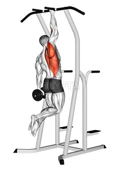 Weighted One Hand Pull up demonstration