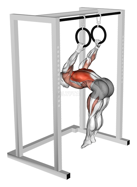 L-Pull-up - Video Guide
