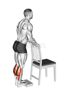 Calf Raise from Deficit with Chair Supported demonstration