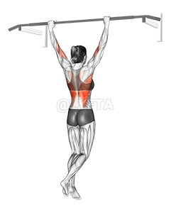 PULL UP PROGRESSION - Seated Bar Pull Up 