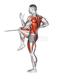 Band High Knee Lunge with Single Arm Row demonstration