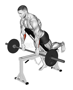 Barbell Incline Wrist Curl with Chest Support demonstration
