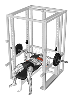 Barbell Bench Press with 1 board demonstration