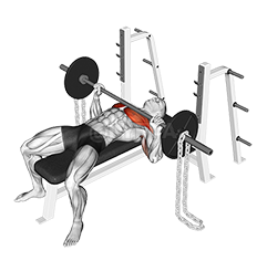 Barbell Bench Press against Chains demonstration
