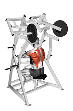Lever Seated Row - Video Guide