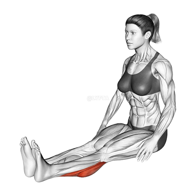 Seated Calf Stretch demonstration