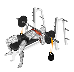 Barbell Bench Press with Band Suspended Kettlebell demonstration