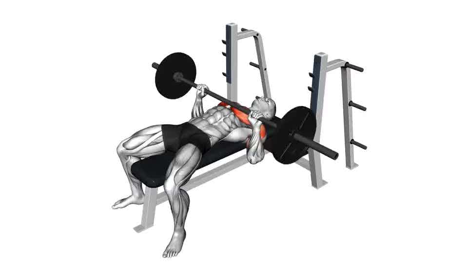 Thumbnail for the video of exercise: Barbell Bench Press
