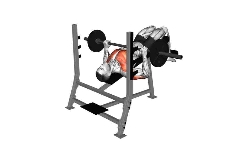 Thumbnail for the video of exercise: Barbell Decline Bench Press