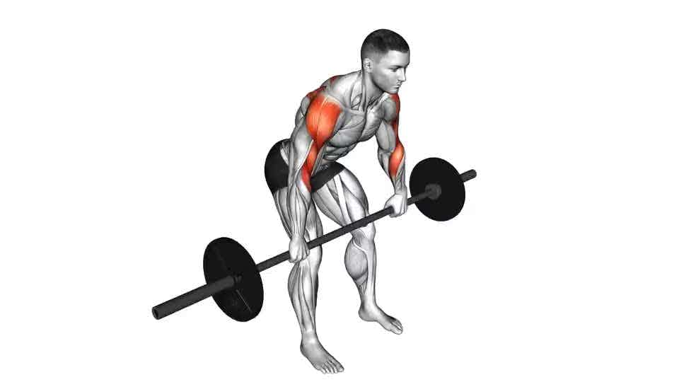 Standing cable rear delt row with rope instructions and video