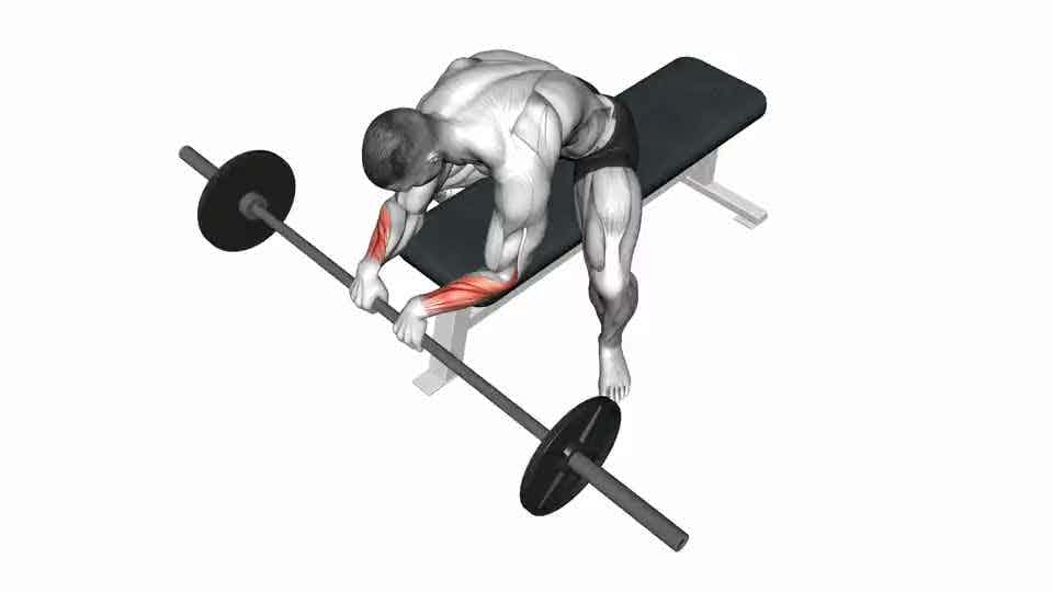 Thumbnail for the video of exercise: Barbell Reverse Wrist Curl