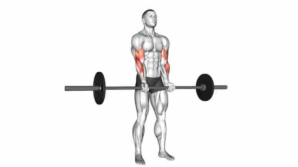 Thumbnail for the video of exercise: Barbell Standing Close Grip Curl