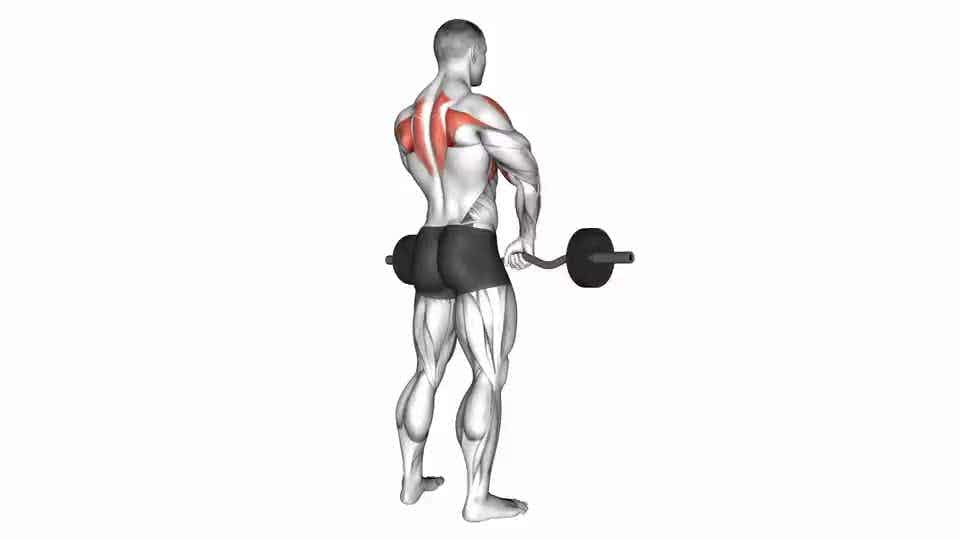 Thumbnail for the video of exercise: Barbell Upright Row