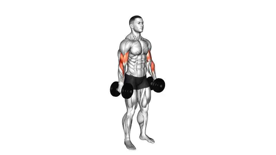 Thumbnail for the video of exercise: Alternate Biceps Curl