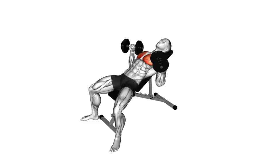 Thumbnail for the video of exercise: Dumbbell Incline Bench Press