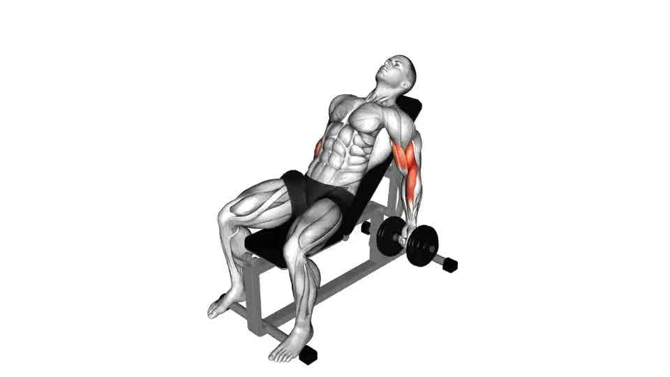 Thumbnail for the video of exercise: Dumbbell Incline Curl