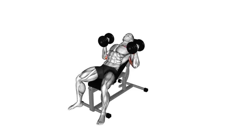 Thumbnail for the video of exercise: Dumbbell Incline Hammer Press