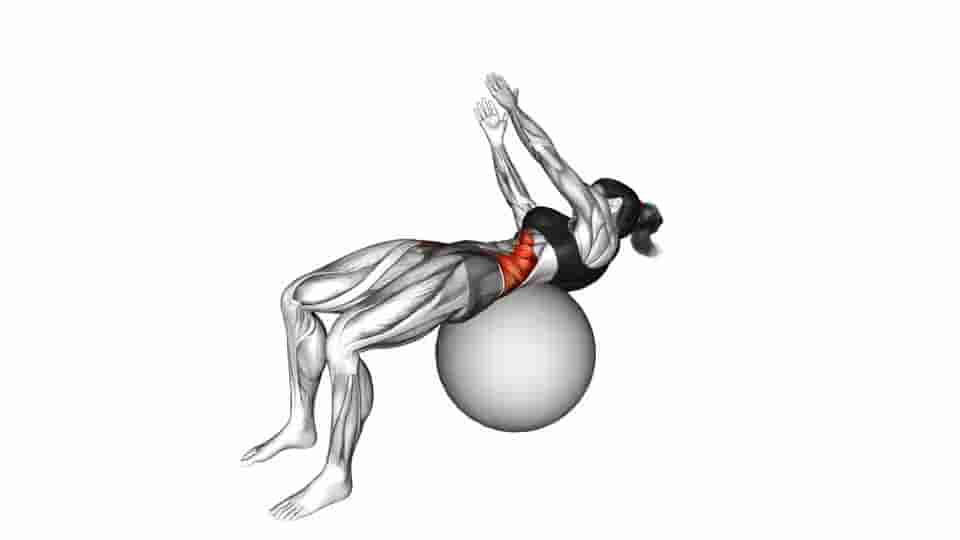 Russian Twist Video Guide Lyfta