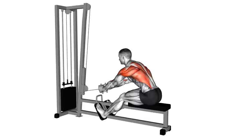 Thumbnail for the video of exercise: Cable seated row