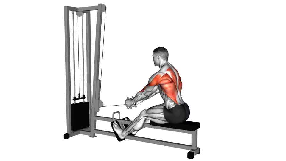 Thumbnail for the video of exercise: Elevated Row