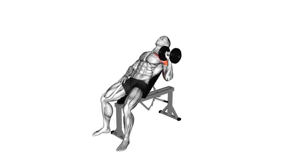 Thumbnail for the video of exercise: Dumbbell Incline One Arm Press