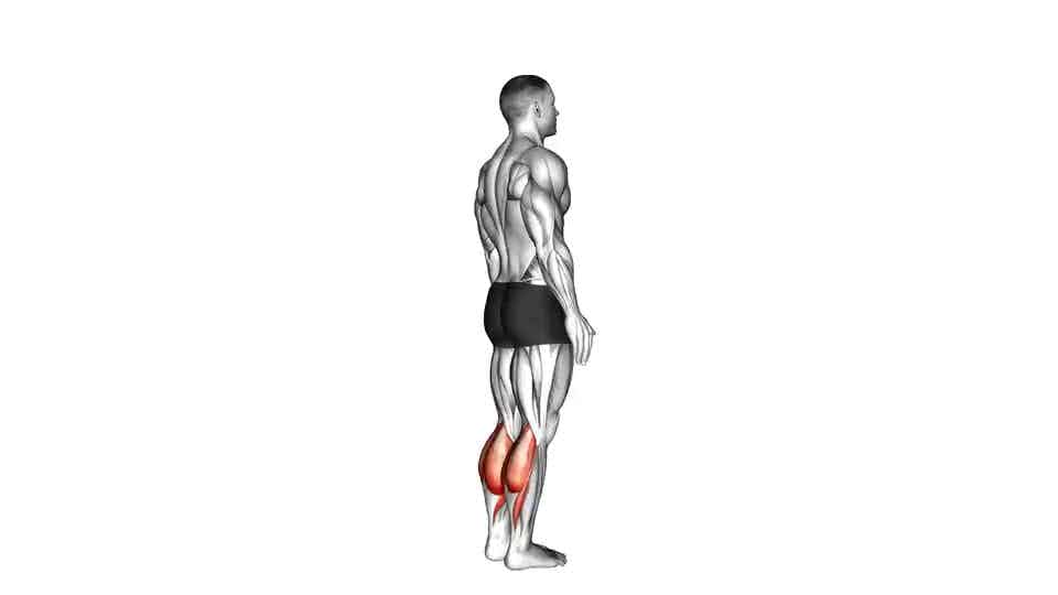 Thumbnail for the video of exercise: Bodyweight Standing Calf Raise