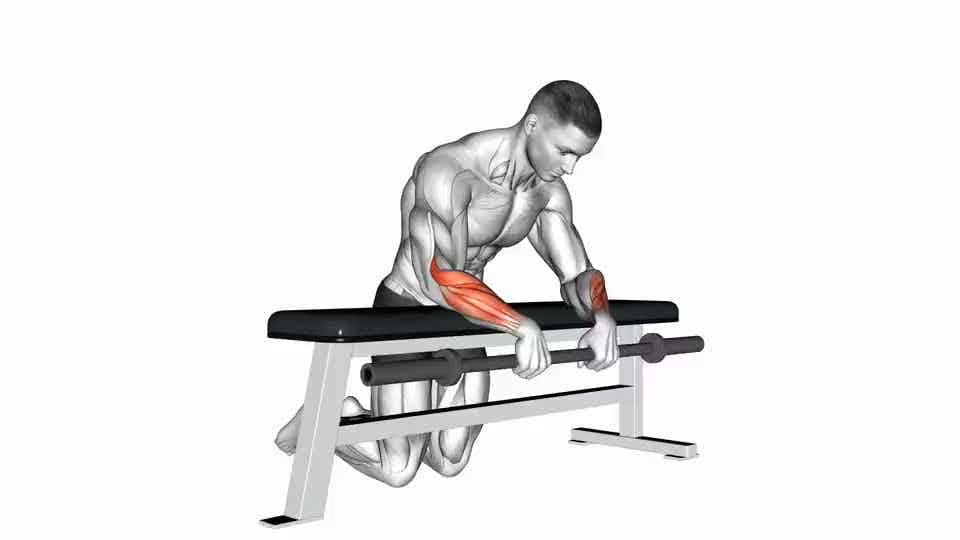Thumbnail for the video of exercise: Barbell Palms Down Wrist Curl Over A Bench