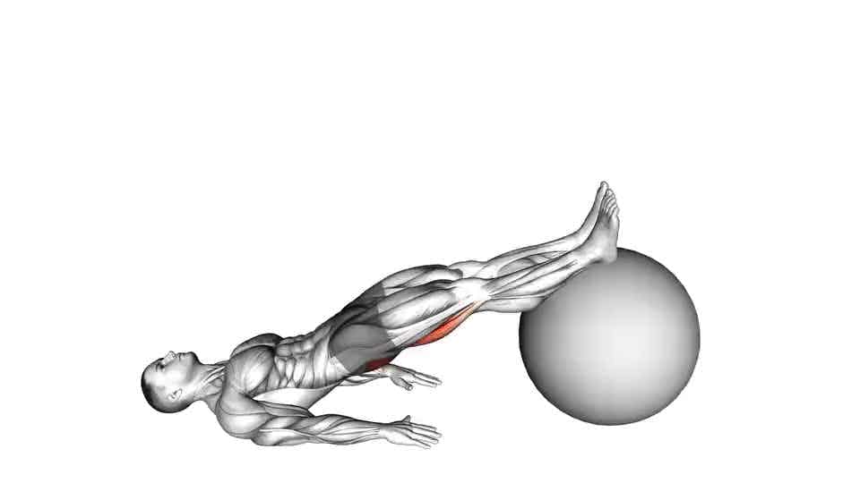 Thumbnail for the video of exercise: Exercise Ball One Legged Diagonal Kick Hamstring Curl